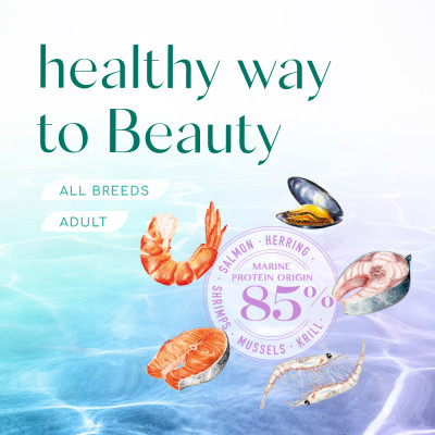 Сухий корм для собак усіх порід Optimeal Beauty Harmony із заспокійливим ефектом 10 кг (морепродукти) Сухий корм для собак усіх порід Optimeal Beauty Harmony із заспокійливим ефектом 10 кг (морепродукти)