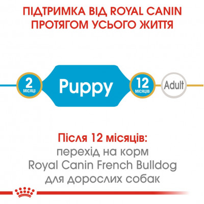 Сухий корм для цуценят та молодих собак породи французький бульдог Royal Canin French Bulldog Puppy 1 кг (домашня птиця) Сухий корм для цуценят та молодих собак породи французький бульдог Royal Canin French Bulldog Puppy 1 кг (домашня птиця)