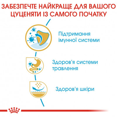 Сухий корм для цуценят та молодих собак породи французький бульдог Royal Canin French Bulldog Puppy 1 кг (домашня птиця) Сухий корм для цуценят та молодих собак породи французький бульдог Royal Canin French Bulldog Puppy 1 кг (домашня птиця)