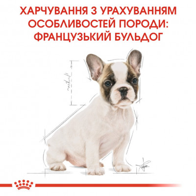 Сухий корм для цуценят та молодих собак породи французький бульдог Royal Canin French Bulldog Puppy 1 кг (домашня птиця) Сухий корм для цуценят та молодих собак породи французький бульдог Royal Canin French Bulldog Puppy 1 кг (домашня птиця)