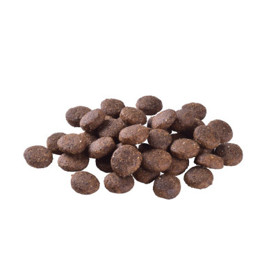 Сухой корм для молодых собак крупных пород Brit Care Dog Grain-free Junior Large Breed беззерновой | (лосось) 3 кг Сухой корм для молодых собак крупных пород Brit Care Dog Grain-free Junior Large Breed беззерновой | (лосось) 3 кг
