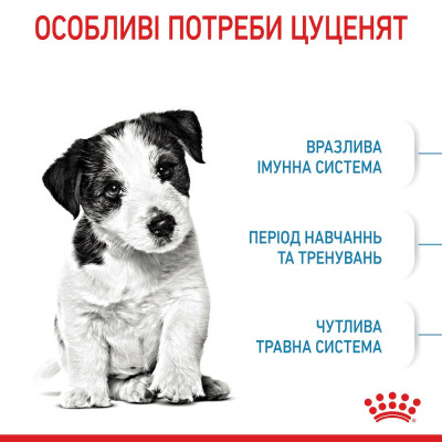 Сухий корм для цуценят дрібних порід Royal Canin Mini Puppy 800 г (домашня птиця) Сухий корм для цуценят дрібних порід Royal Canin Mini Puppy 800 г (домашня птиця)