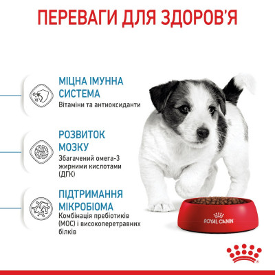 Сухий корм для цуценят дрібних порід Royal Canin Mini Puppy 800 г (домашня птиця) Сухий корм для цуценят дрібних порід Royal Canin Mini Puppy 800 г (домашня птиця)