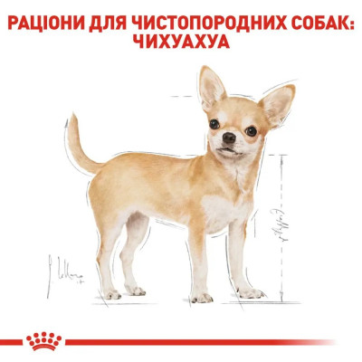 Сухий корм для собак породи Чихуахуа Royal Canin Chihuahua Adult 500 г (домашня птиця) Сухий корм для собак породи Чихуахуа Royal Canin Chihuahua Adult 500 г (домашня птиця)