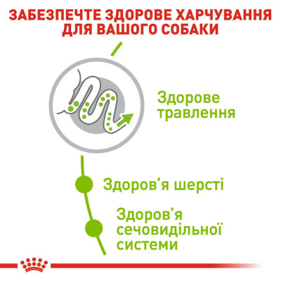 Сухий корм для дорослих собак дрібних порід Royal Canin X-Small Adult 1,2 кг + 300 г у подарунок (домашня птиця) Сухий корм для дорослих собак дрібних порід Royal Canin X-Small Adult 1,2 кг + 300 г у подарунок (домашня птиця)