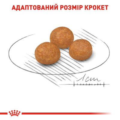 Сухий корм для дорослих собак дрібних порід Royal Canin X-Small Adult 1,2 кг + 300 г у подарунок (домашня птиця) Сухий корм для дорослих собак дрібних порід Royal Canin X-Small Adult 1,2 кг + 300 г у подарунок (домашня птиця)