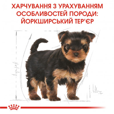 Сухий корм для цуценят породи йоркширський тер'єр Royal Canin Yorkshire Puppy 1,2 кг + 300 г у подарунок (домашня птиця) Сухий корм для цуценят породи йоркширський тер'єр Royal Canin Yorkshire Puppy 1,2 кг + 300 г у подарунок (домашня птиця)