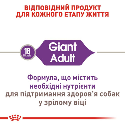 Сухий корм для дорослих собак гігантських порід Royal Canin Giant Adult | 15 + 3 кг у подарунок (домашня птиця) Сухий корм для дорослих собак гігантських порід Royal Canin Giant Adult | 15 + 3 кг у подарунок (домашня птиця)