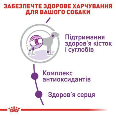 Сухий корм для дорослих собак гігантських порід Royal Canin Giant Adult | 15 + 3 кг у подарунок (домашня птиця) Сухий корм для дорослих собак гігантських порід Royal Canin Giant Adult | 15 + 3 кг у подарунок (домашня птиця)