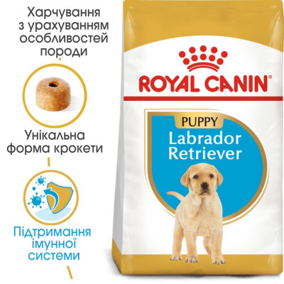 Корм сухий для цуценят Лабрадору Royal Canin Labrador Retriever Puppy 3 кг (домашній птах) Корм сухий для цуценят Лабрадору Royal Canin Labrador Retriever Puppy 3 кг (домашній птах)
