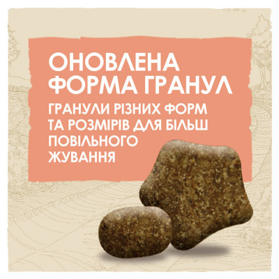 Сухий корм для активних собак всіх порід Dog Chow Active Chicken 14 кг (курка) Сухий корм для активних собак всіх порід Dog Chow Active Chicken 14 кг (курка)