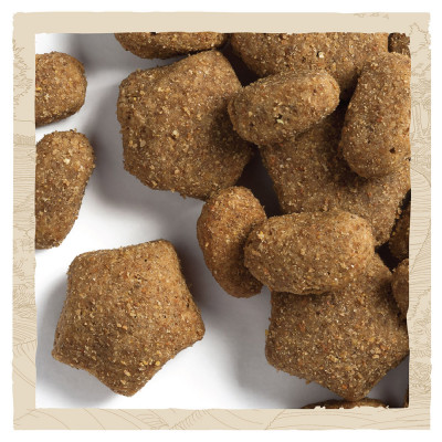 Сухий корм для активних собак всіх порід Dog Chow Active Chicken 14 кг (курка) Сухий корм для активних собак всіх порід Dog Chow Active Chicken 14 кг (курка)