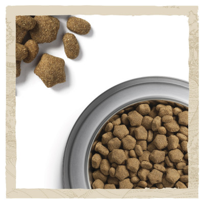 Сухий корм для активних собак всіх порід Dog Chow Active Chicken 14 кг (курка) Сухий корм для активних собак всіх порід Dog Chow Active Chicken 14 кг (курка)