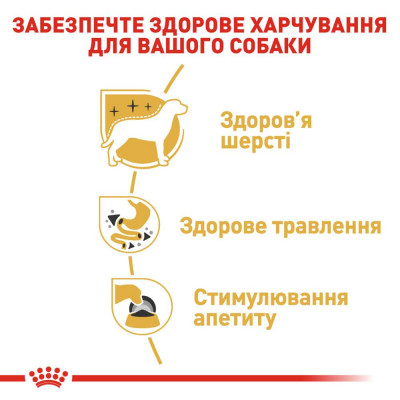 Вологий корм для дорослих собак породи чихуахуа Royal Canin Chihuahua Adult pouch 85 г, 3+1 шт у подарунок (домашня птиця) Вологий корм для дорослих собак породи чихуахуа Royal Canin Chihuahua Adult pouch 85 г, 3+1 шт у подарунок (домашня птиця)