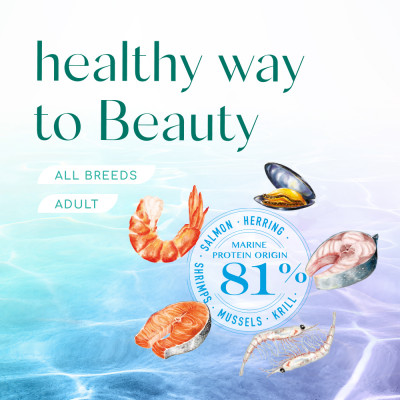 Сухий беззерновий корм для собак Optimeal Dog Beauty Podium Shiny Coat & Dental Care 1,5 кг (морепродукти)