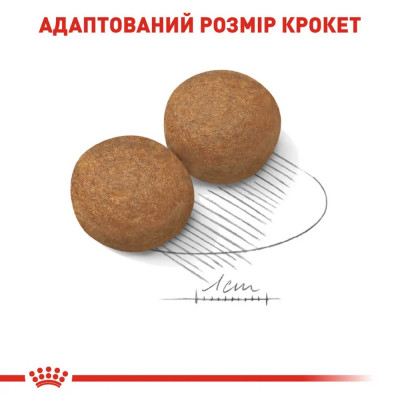 Сухий корм для собак Royal Canin Maxi Adult, 4 кг (домашня птиця) Сухий корм для собак Royal Canin Maxi Adult, 4 кг (домашня птиця)