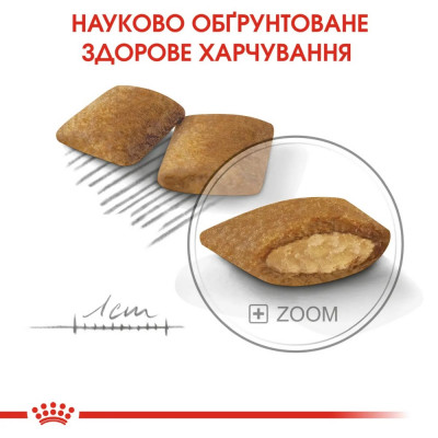 Сухой корм для привередливых собак мелких пород Royal Canin Mini Exigent 3 кг (домашняя птица) Сухой корм для привередливых собак мелких пород Royal Canin Mini Exigent 3 кг (домашняя птица)