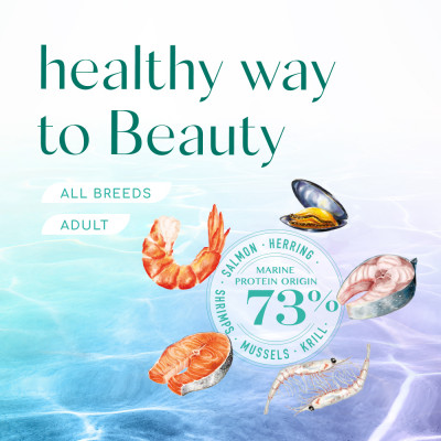 Cухий беззерновий корм для собак усіх порід Optimeal Beauty Fitness Healthy Weight & Joints 1,5 кг (морепродукти) Cухий беззерновий корм для собак усіх порід Optimeal Beauty Fitness Healthy Weight & Joints 1,5 кг (морепродукти)