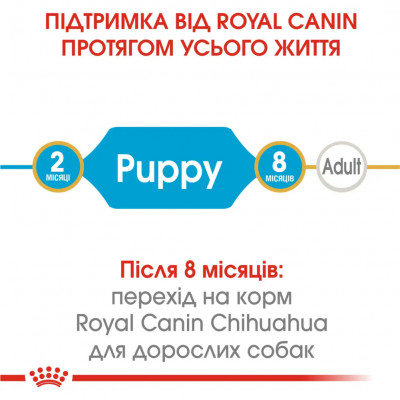 Сухий корм цуценят породи Чихуахуа Royal Canin Puppy Chihuahua 1,5 кг + 4 паучі вологого корму в ПОДАРУНОК (домашня птиця) Сухий корм цуценят породи Чихуахуа Royal Canin Puppy Chihuahua 1,5 кг + 4 паучі вологого корму в ПОДАРУНОК (домашня птиця)