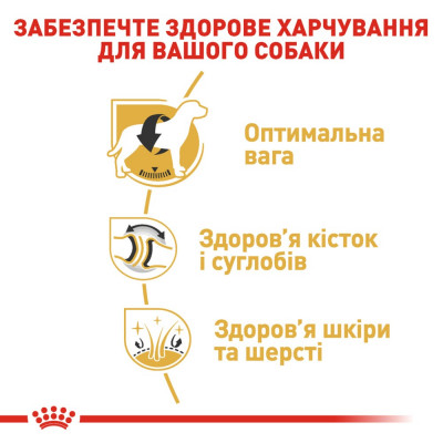 Сухий корм для дорослих собак великих порід Royal Canin Labrador Retriever Adult 12 кг (домашній птах)