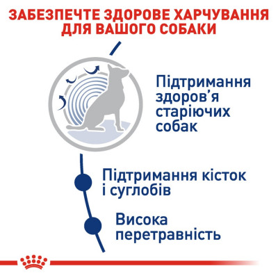 Сухий корм для літніх собак великих порід Royal Canin Maxi Ageing 8+, 15 кг (домашня птиця) Сухий корм для літніх собак великих порід Royal Canin Maxi Ageing 8+, 15 кг (домашня птиця)
