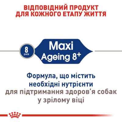 Сухий корм для літніх собак великих порід Royal Canin Maxi Ageing 8+, 15 кг (домашня птиця) Сухий корм для літніх собак великих порід Royal Canin Maxi Ageing 8+, 15 кг (домашня птиця)