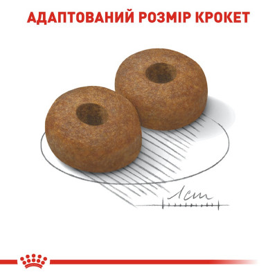 Сухий корм для літніх собак великих порід Royal Canin Maxi Ageing 8+, 15 кг (домашня птиця) Сухий корм для літніх собак великих порід Royal Canin Maxi Ageing 8+, 15 кг (домашня птиця)