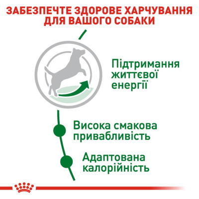 Сухой корм для пожилых собак мелких пород Royal Canin Mini Adult 8+, 2 кг (домашняя птица) Сухой корм для пожилых собак мелких пород Royal Canin Mini Adult 8+, 2 кг (домашняя птица)
