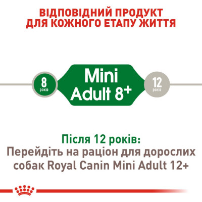 Сухой корм для пожилых собак мелких пород Royal Canin Mini Adult 8+, 2 кг (домашняя птица) Сухой корм для пожилых собак мелких пород Royal Canin Mini Adult 8+, 2 кг (домашняя птица)