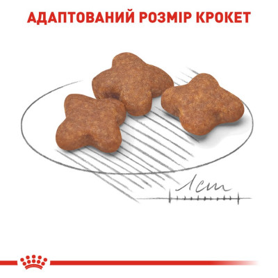 Сухой корм для пожилых собак мелких пород Royal Canin Mini Adult 8+, 2 кг (домашняя птица) Сухой корм для пожилых собак мелких пород Royal Canin Mini Adult 8+, 2 кг (домашняя птица)