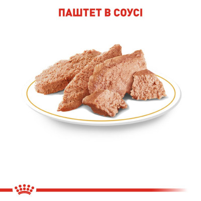 Вологий корм для дорослих собак породи йоркширський тер'єр Royal Canin Yorkshire Terrier Adult pouch 85 г, 3+1 шт у подарунок (домашня птиця) Вологий корм для дорослих собак породи йоркширський тер'єр Royal Canin Yorkshire Terrier Adult pouch 85 г, 3+1 шт у подарунок (домашня птиця)