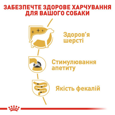 Вологий корм для дорослих собак породи йоркширський тер'єр Royal Canin Yorkshire Terrier Adult pouch 85 г, 3+1 шт у подарунок (домашня птиця) Вологий корм для дорослих собак породи йоркширський тер'єр Royal Canin Yorkshire Terrier Adult pouch 85 г, 3+1 шт у подарунок (домашня птиця)