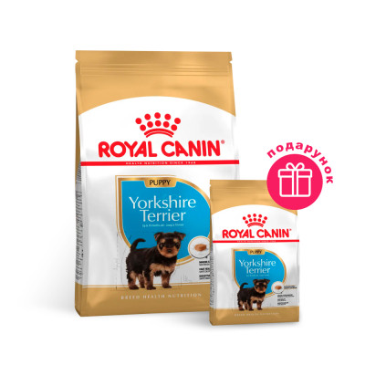 Сухий корм для цуценят породи Йоркширський тер'єр Royal Canin Yorkshire Puppy 1,5 кг + 500 в ПОДАРУНОК (домашня птиця)