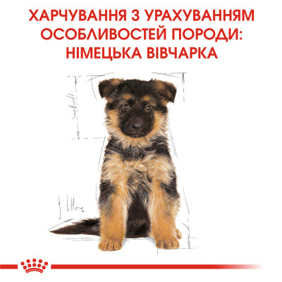 Сухой корм для щенков породы немецкая овчарка Royal Canin German Shepherd Puppy 3 кг (домашняя птица)