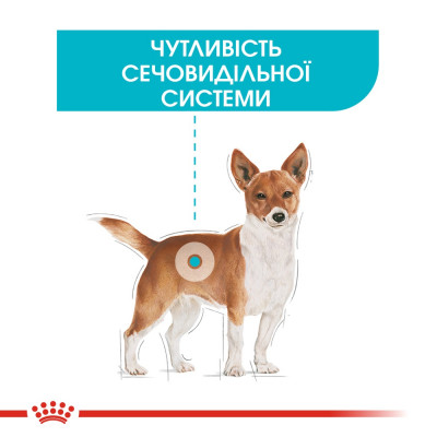 Корм сухий для собак Royal Canin Mini Urinary Care 3 кг (домашній птах) Корм сухий для собак Royal Canin Mini Urinary Care 3 кг (домашній птах)
