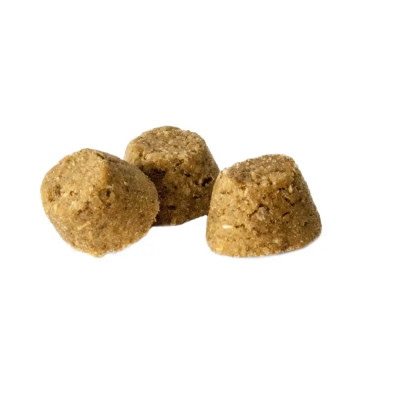 Сухой корм Oven-Baked Tradition Dog Adult 11,34 кг - рыба Сухой корм Oven-Baked Tradition Dog Adult 11,34 кг - рыба