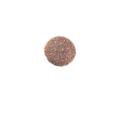 Сухий корм для собак великих порід Brit Care Dog Grain-free Adult Large Breed беззерновий | (лосось) 12 кг Сухий корм для собак великих порід Brit Care Dog Grain-free Adult Large Breed беззерновий | (лосось) 12 кг