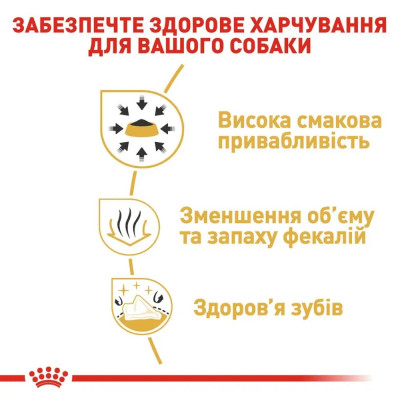 Сухий корм для дорослих собак породи чихуахуа Royal Canin Chihuahua Adult 1,5 кг (домашня птиця) Сухий корм для дорослих собак породи чихуахуа Royal Canin Chihuahua Adult 1,5 кг (домашня птиця)