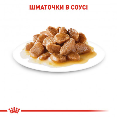 Вологий корм для дорослих собак дрібних порід Royal Canin Mini Adult pouch 85 г, 3+1 шт у подарунок (домашня птиця) Вологий корм для дорослих собак дрібних порід Royal Canin Mini Adult pouch 85 г, 3+1 шт у подарунок (домашня птиця)