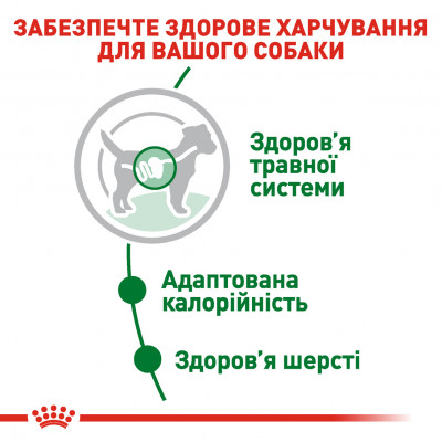 Вологий корм для дорослих собак дрібних порід Royal Canin Mini Adult pouch 85 г, 3+1 шт у подарунок (домашня птиця) Вологий корм для дорослих собак дрібних порід Royal Canin Mini Adult pouch 85 г, 3+1 шт у подарунок (домашня птиця)