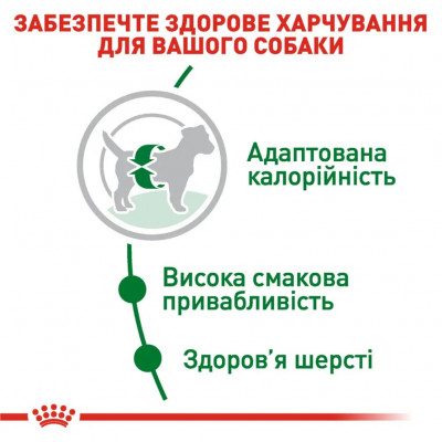 Сухий корм для собак дрібних порід Royal Canin Mini Adult 800 г (домашня птиця)