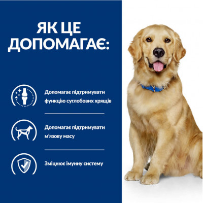 Сухий корм для собак Hill’s Prescription Diet j/d 12 кг - курка та індичка Сухий корм для собак Hill’s Prescription Diet j/d 12 кг - курка та індичка