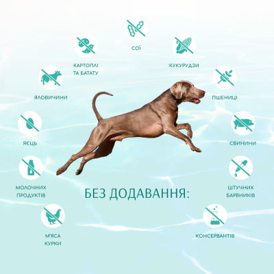 Cухий беззерновий корм для собак усіх порід Optimeal Beauty Fitness Healthy Weight & Joints 10 кг (морепродукти) Cухий беззерновий корм для собак усіх порід Optimeal Beauty Fitness Healthy Weight & Joints 10 кг (морепродукти)