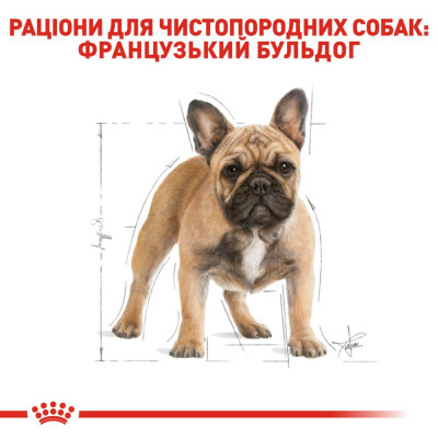Сухий корм для дорослих собак породи французький бульдог Royal Canin French Bulldog Adult 3 кг (домашня птиця) Сухий корм для дорослих собак породи французький бульдог Royal Canin French Bulldog Adult 3 кг (домашня птиця)