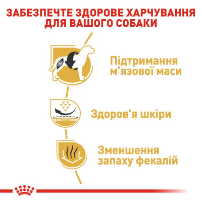 Сухий корм для дорослих собак породи французький бульдог Royal Canin French Bulldog Adult 3 кг (домашня птиця) Сухий корм для дорослих собак породи французький бульдог Royal Canin French Bulldog Adult 3 кг (домашня птиця)