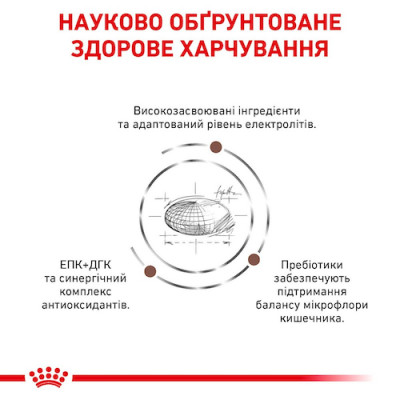 Сухий корм для собак, при захворюваннях шлунково-кишкового тракту Royal Canin Gastro Intestinal 15 кг (домашня птиця) Сухий корм для собак, при захворюваннях шлунково-кишкового тракту Royal Canin Gastro Intestinal 15 кг (домашня птиця)