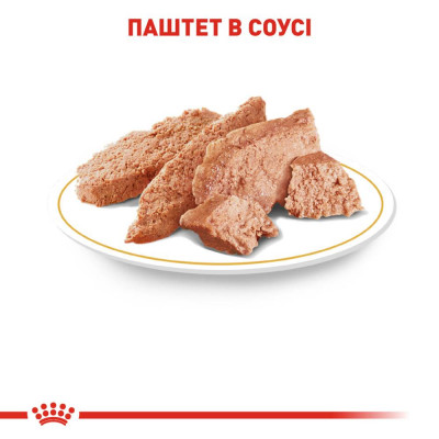Вологий корм для дорослих собак породи чихуахуа Royal Canin Chihuahua Adult pouch 85 г (домашня птиця) Вологий корм для дорослих собак породи чихуахуа Royal Canin Chihuahua Adult pouch 85 г (домашня птиця)