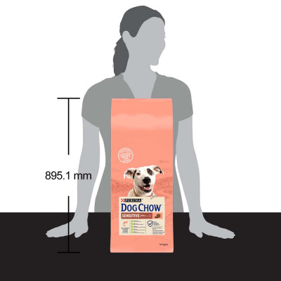 Сухий корм для дорослих собак із чутливим травленням Dog Chow Sensetive 14 кг (лосось) Сухий корм для дорослих собак із чутливим травленням Dog Chow Sensetive 14 кг (лосось)
