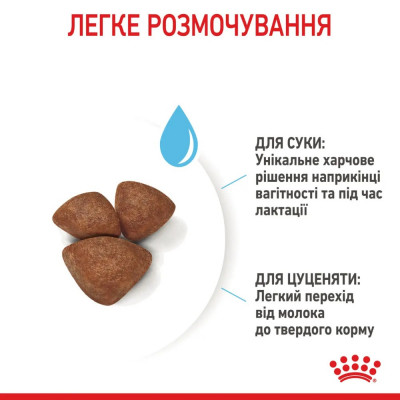 Сухий корм для цуценят мініатюрних порід Royal Canin Mini Starter 1 кг (домашня птиця) Сухий корм для цуценят мініатюрних порід Royal Canin Mini Starter 1 кг (домашня птиця)