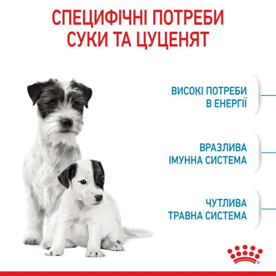 Сухий корм для цуценят мініатюрних порід Royal Canin Mini Starter 1 кг (домашня птиця) Сухий корм для цуценят мініатюрних порід Royal Canin Mini Starter 1 кг (домашня птиця)